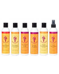 Jessicurl - Collections Rich & Radiant - Product Collection for Thicker, Drier Curls - 6 x 8oz - No-Fragrance
